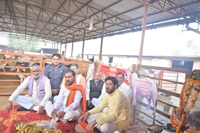 ab33541c 3a08 497f 856a 3cae2cc6ccad