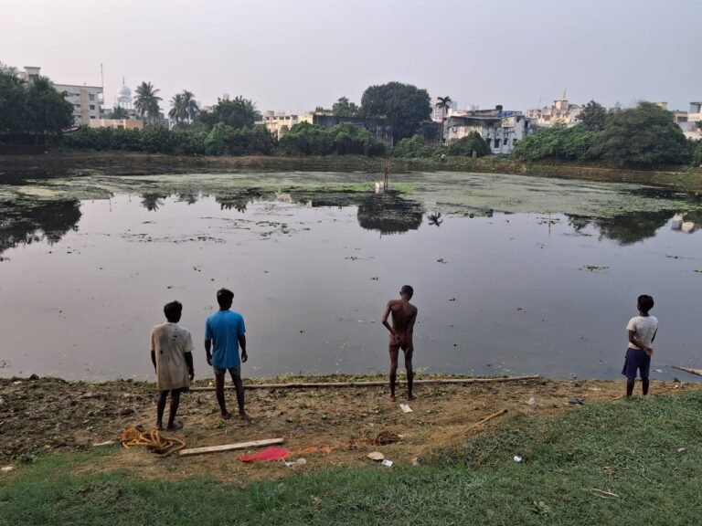 historic virtual inauguration chhath puja by cm mamata banerjee