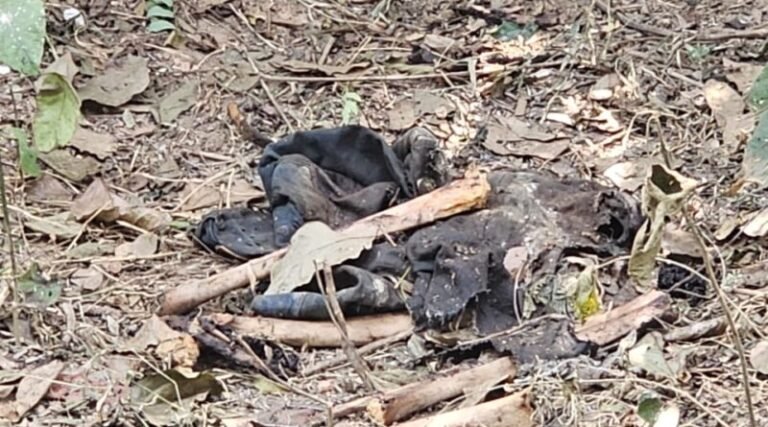 লাউদোহায় মানব কঙ্কাল উদ্ধার! রহস্য ঘিরে এলাকায় চাঞ্চল্য 1 1