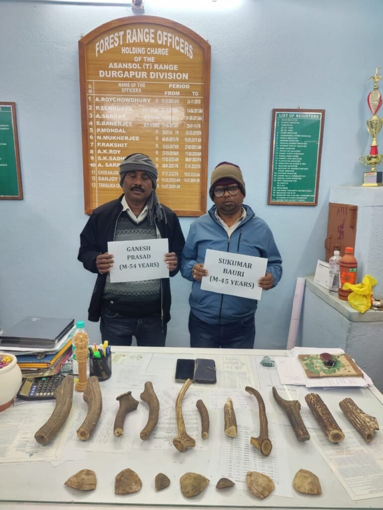 कुलटी में वन्यजीव तस्करी का पर्दाफाश! हिरण के सींग और पैंगोलिन शल्क बरामद 2 858114ce 8689 4680 a556 e6c95f981eb7