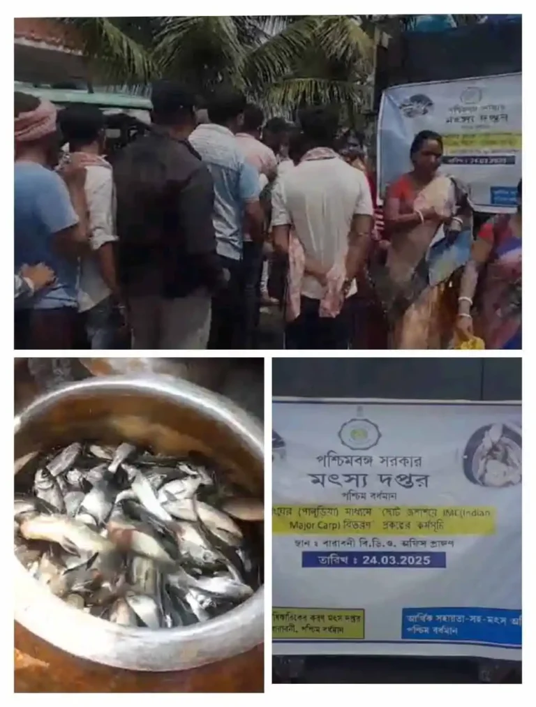 बाराबनी में मछुआरों को मिला तोहफा! सरकार ने बांटे मछली बीज 1 fish seed distribution in barabani