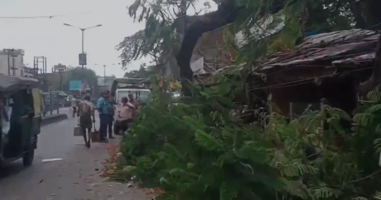 asansol tree falls on road