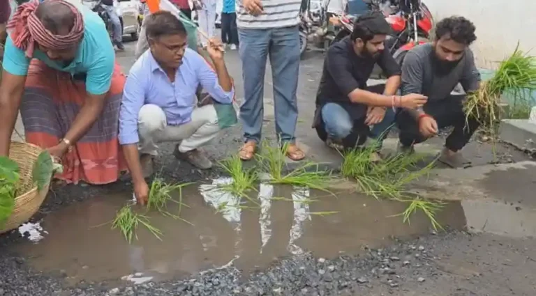 ডিসেরগড়ের গর্তে ধান রোপণ! কংগ্রেসের অভিনব প্রতিবাদ ভাইরাল 1 ezgif 34c3ddb97c4c48