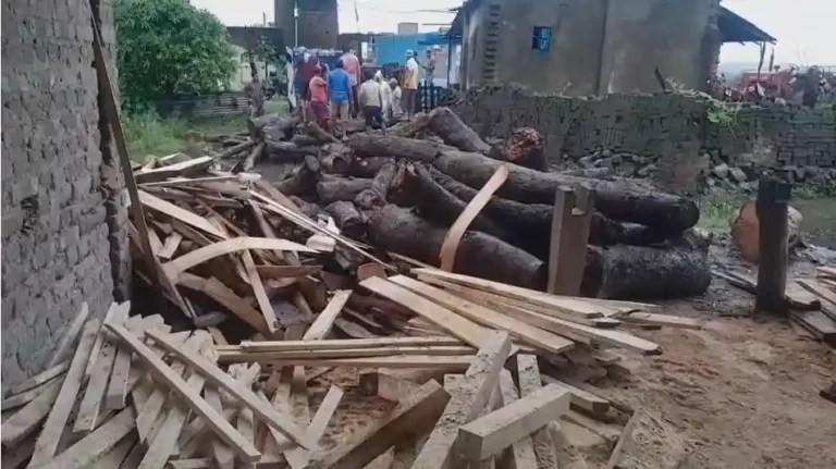 आसनबनी मोड़ के पास लकड़ी मिल से भारी मात्रा में कीमती लकड़ी जब्त, वन विभाग की बड़ी कार्रवाई 1 ezgif 46763ac3cbd46d