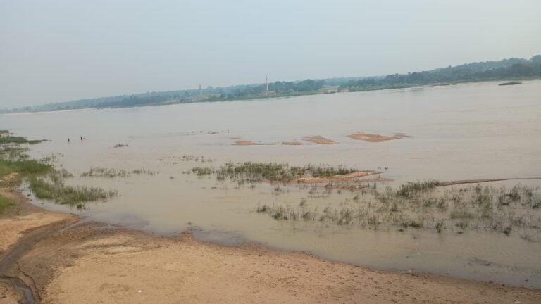 314f60ac a44e 43fd ae10 ce2a8a91d90d