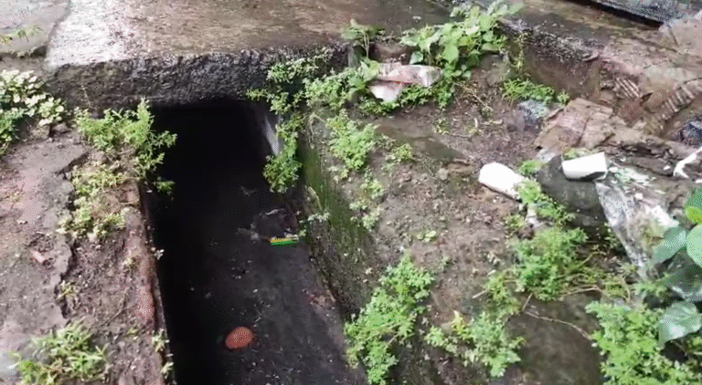 Screenshot 2025 08 22 125254