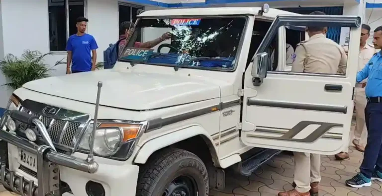 ezgif 1cf7e04d381331