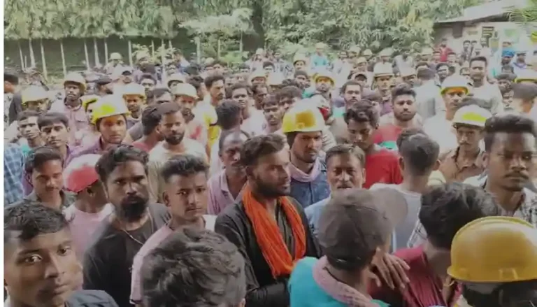 ezgif 234efd0f3879d0