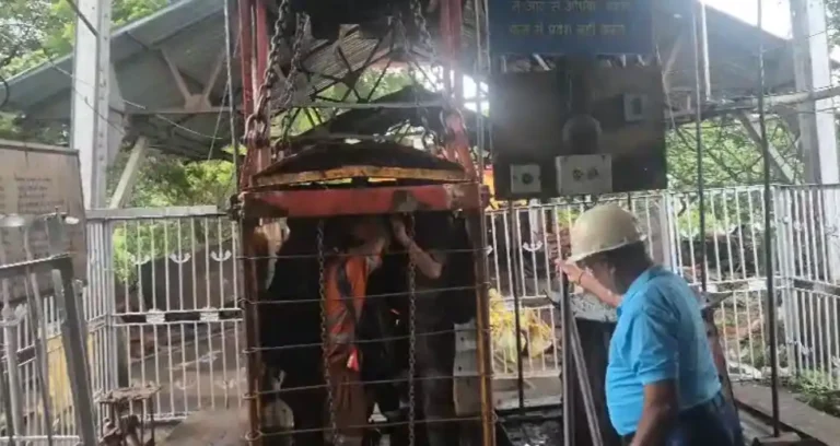 ezgif 2f6f11431058b8