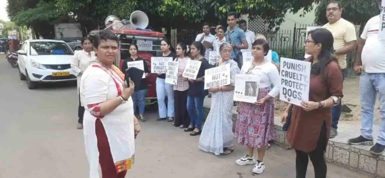 কুকুর পরিবার, বন্দি নয় – সুপ্রিম কোর্টের রায়ে ক্ষোভ উগরে দিলেন কুকুরপ্রেমীরা 1 ezgif 3ed9b1b5b7399d