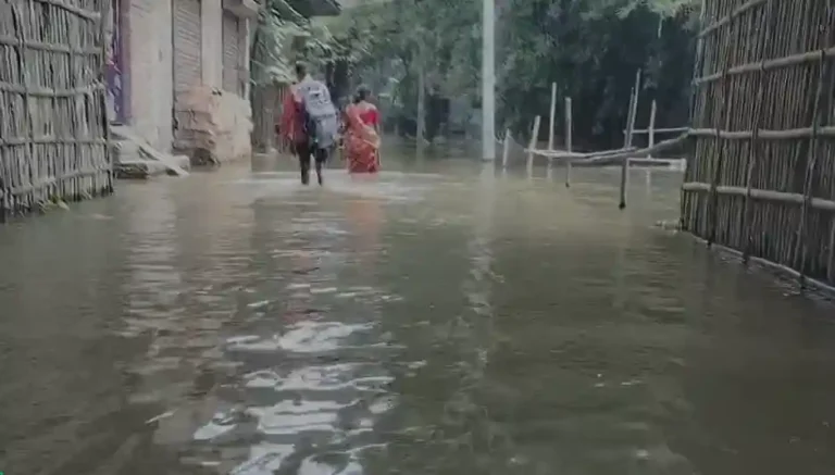 ezgif 545da4f2bb8c38