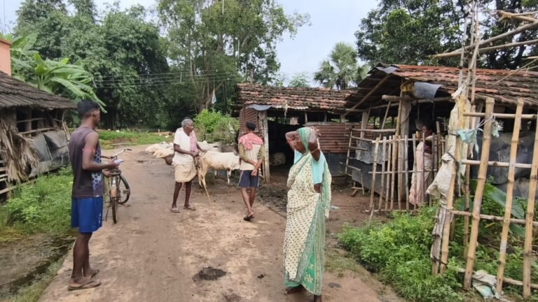 कांकसा में मवेशियों की रहस्यमयी मौत, लोगों में दशहत 1 6