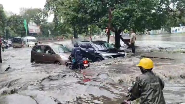 WhatsApp Image 2025 09 15 at 2.10.56 PM