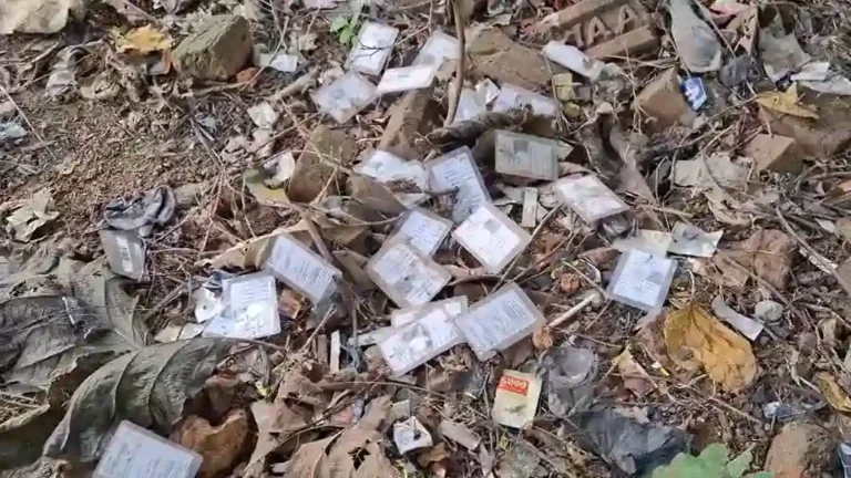 আসানসোলের জঙ্গলে মিলল ভোটার কার্ডের স্তূপ, এলাকায় তোলপাড় 1 ezgif 10011b63b87930