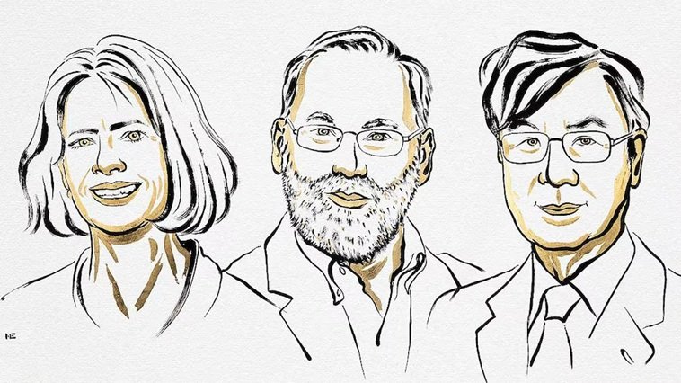 आर्थराइटिस, डायबिटीज का इलाज खोजने वाले 3 वैज्ञानिकों को मिला चिकित्सा का नोबेल 1 4 3