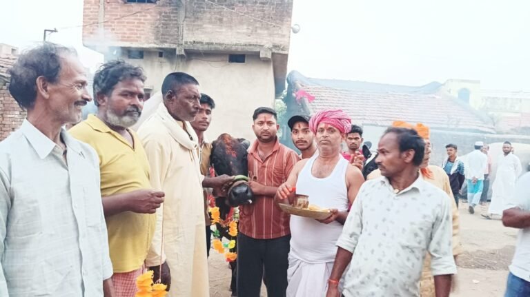 ЁЯМ╛ рдХреБрд▓реНрдЯреА рдореЗрдВ рдпрджреБрд╡рдВрд╢реА рд╕рдорд╛рдЬ рдиреЗ рдзреВрдордзрд╛рдо рд╕реЗ рдХреА рдЧреЛрд╡рд░реНрдзрди рдкреВрдЬрд╛, рдЧреВрдВрдЬреА тАШрдЬрдп рд╢реНрд░реАрдХреГрд╖реНрдгтАЩ рдХреА рдЧреВрдВрдЬ! 1 42f6bdcb 4f7f 459b 915d a0135d5c8155