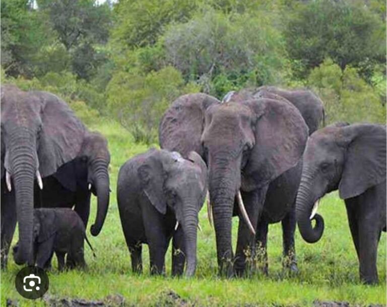 देश-दुनिया की अहम खबरें: एक नजर में। (NEWS BULLETIN 478) 1 IMG 20251023 160048 1