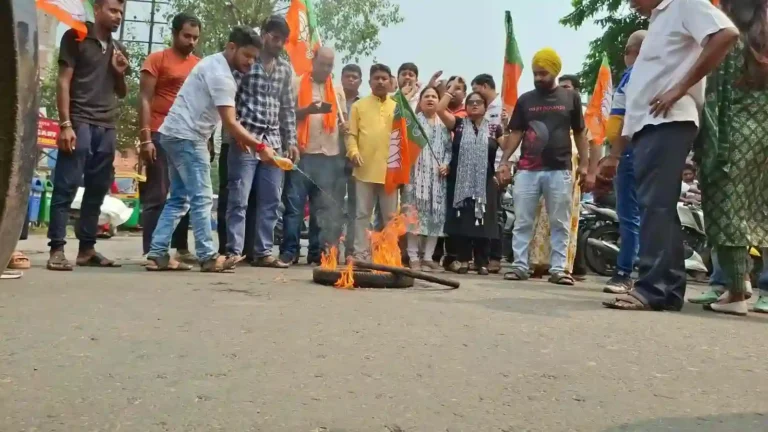 ezgif 4a21d498697e96