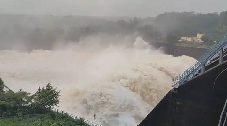 ezgif 4e544d353b7bc9