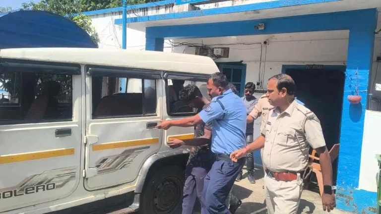 ezgif 5c0fb1a9d18b27