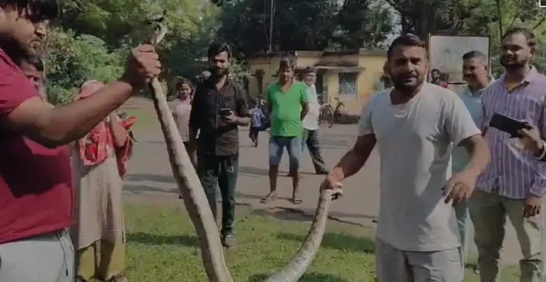 ezgif 8830500e98f0e835