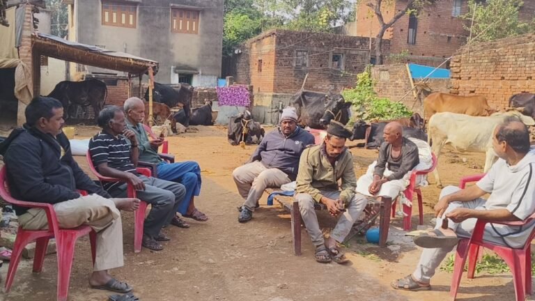 WhatsApp Image 2025 12 04 at 4.59.00 PM