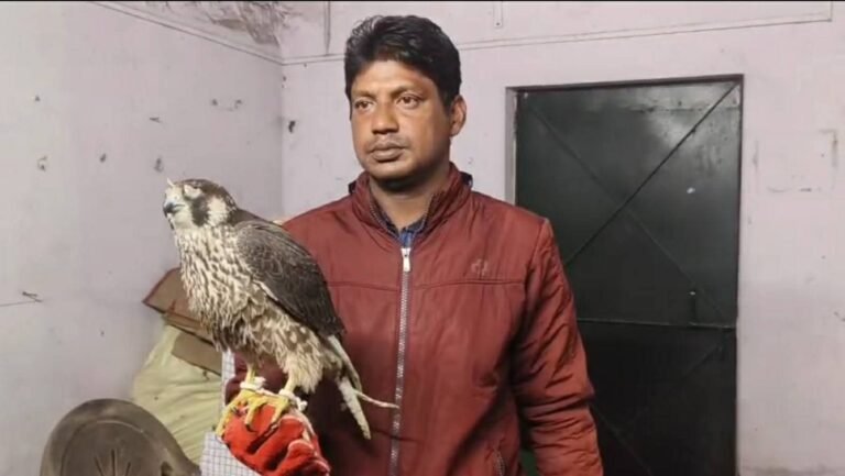 दुर्गापुर : वन विभाग ने वाहन सहित 6 बाज को किया जब्त, तस्कर गिरफ्तार 1 WhatsApp Image 2025 12 11 at 6.55.09 PM