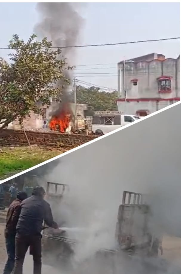 50e15268 81d7 4024 aa78 31c0a98182c8