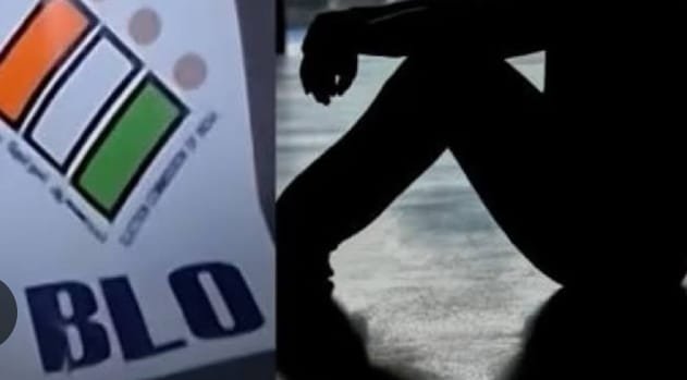 52358a54 a642 4c11 a49c 57cc048775ef 1