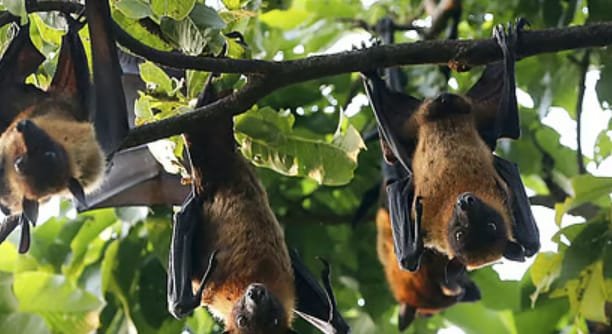 b059fa9f 93b9 4440 9ac6 b806808ed5ab