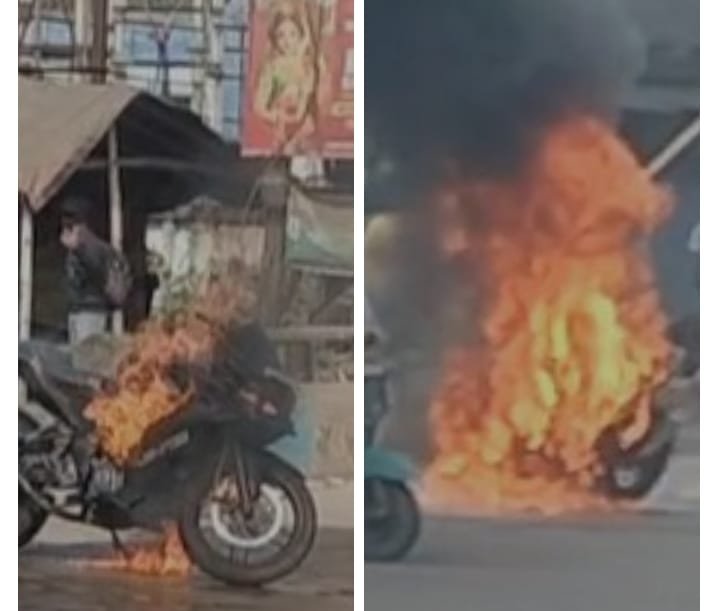 c99585d0 4e2e 4d4e bf29 c8b641ad9665