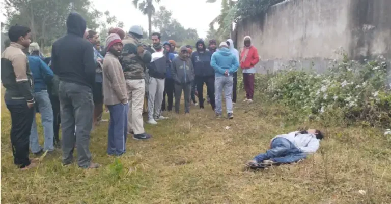 ezgif 35e41e5fec620141