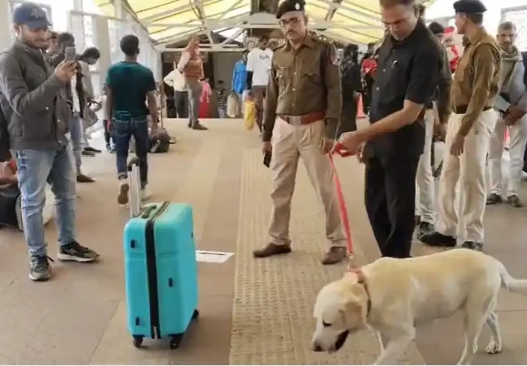 ezgif 37dca3a3b44c1c77