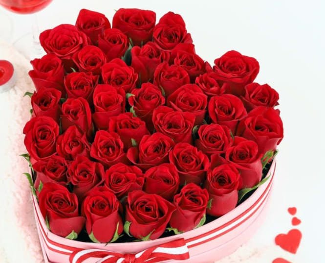 9ee665ca 6ff4 4a5a 8770 c132381cc8a9