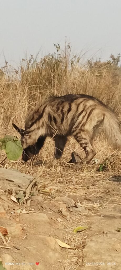 Home 7 ee0c497b f48a 4aad 9e61 ed3eeb7bc5de