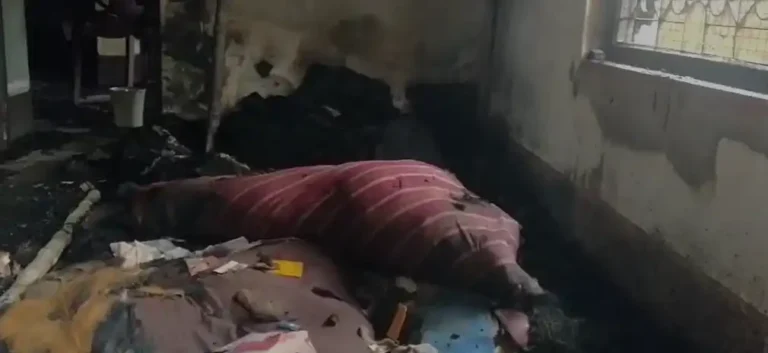 ezgif 48ca047f1a9091b0