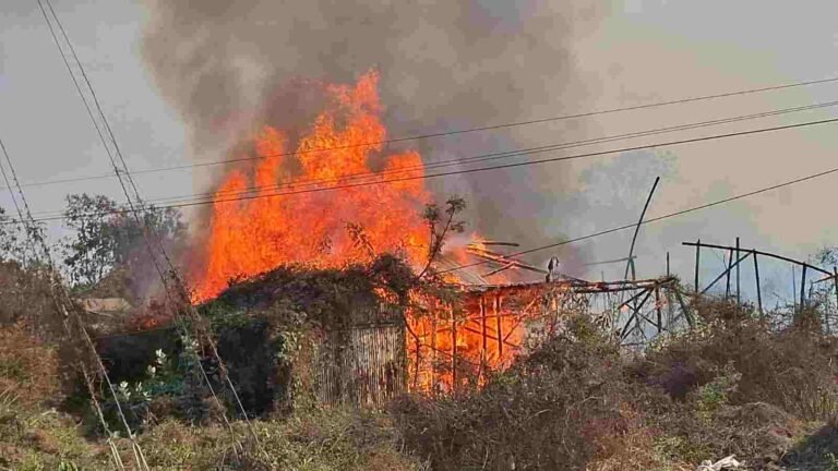 ezgif 87f51c3350b3ac0c