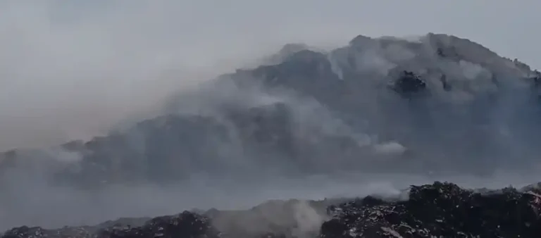 ezgif 38bcb94a8bef1cf2